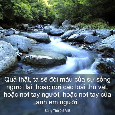 Picture 03 - Sáng Thế 9:5 VIE - Quả thật, ta sẽ đòi máu của sự - Bible Verse Picture