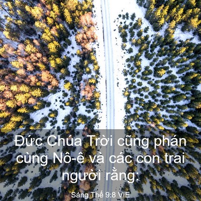 Picture 03 - Sáng Thế 9:8 VIE - Đức Chúa Trời cũng phán cùng Nô-ê và - Bible Verse Picture