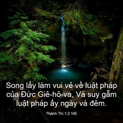 Picture 03 - Thánh Thi 1:2 VIE - Song lấy làm vui vẻ về luật pháp của - Bible Verse Picture