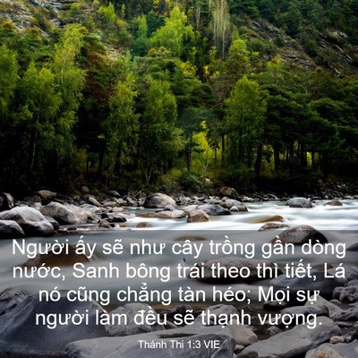 Picture 03 - Thánh Thi 1:3 VIE - Người ấy sẽ như cây trồng gần dòng - Bible Verse Picture