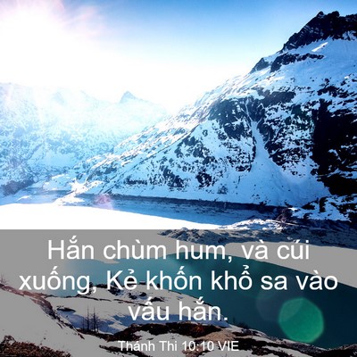 Picture 03 - Thánh Thi 10:10 VIE - Hắn chùm hum, và cúi xuống, Kẻ khốn - Bible Verse Picture