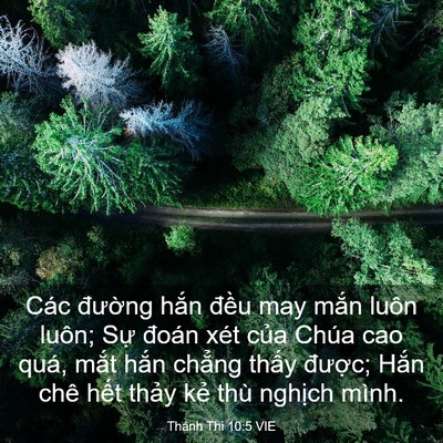 Picture 03 - Thánh Thi 10:5 VIE - Các đường hắn đều may mắn luôn - Bible Verse Picture