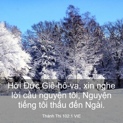 Picture 03 - Thánh Thi 102:1 VIE - Hỡi Đức Giê-hô-va, xin nghe lời cầu - Bible Verse Picture