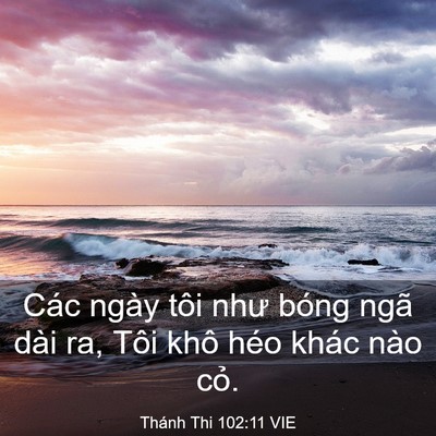 Picture 03 - Thánh Thi 102:11 VIE - Các ngày tôi như bóng ngã dài ra, Tôi - Bible Verse Picture