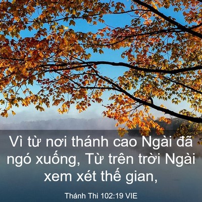 Picture 03 - Thánh Thi 102:19 VIE - Vì từ nơi thánh cao Ngài đã ngó xuống, - Bible Verse Picture