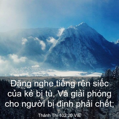Picture 03 - Thánh Thi 102:20 VIE - Đặng nghe tiếng rên siếc của kẻ bị - Bible Verse Picture