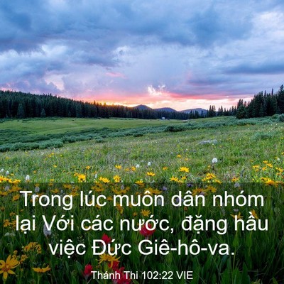 Picture 03 - Thánh Thi 102:22 VIE - Trong lúc muôn dân nhóm lại Với các - Bible Verse Picture