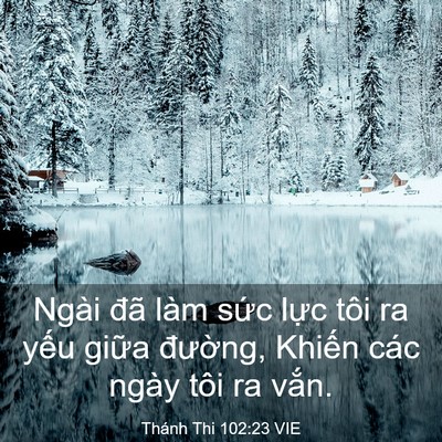 Picture 03 - Thánh Thi 102:23 VIE - Ngài đã làm sức lực tôi ra yếu giữa - Bible Verse Picture