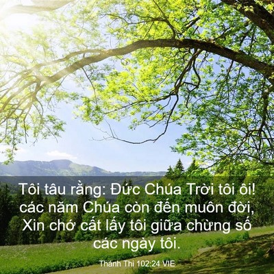 Picture 03 - Thánh Thi 102:24 VIE - Tôi tâu rằng: Đức Chúa Trời tôi ôi! - Bible Verse Picture