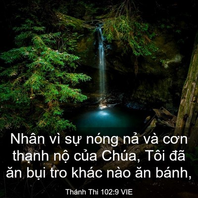 Picture 03 - Thánh Thi 102:9 VIE - Nhân vì sự nóng nả và cơn thạnh nộ - Bible Verse Picture