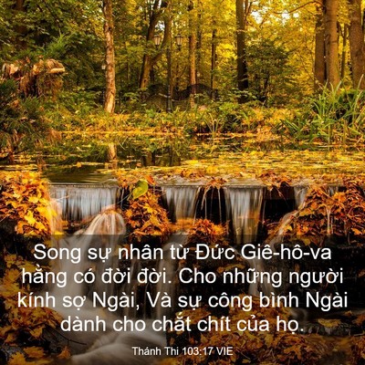 Picture 03 - Thánh Thi 103:17 VIE - Song sự nhân từ Đức Giê-hô-va hằng - Bible Verse Picture