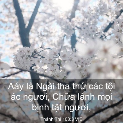 Picture 03 - Thánh Thi 103:3 VIE - Aáy là Ngài tha thứ các tội ác ngươi, - Bible Verse Picture
