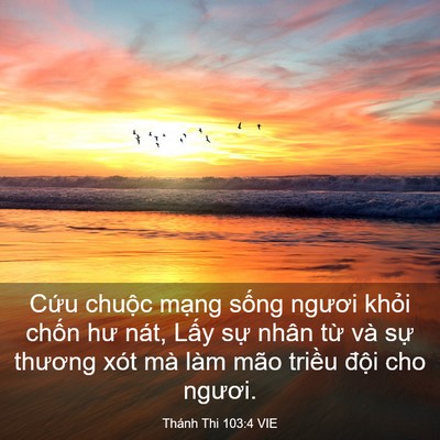 Picture 03 - Thánh Thi 103:4 VIE - Cứu chuộc mạng sống ngươi khỏi chốn - Bible Verse Picture