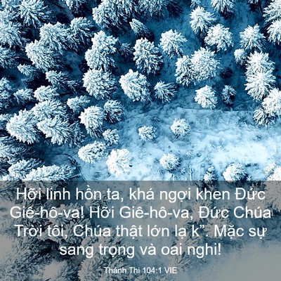 Picture 03 - Thánh Thi 104:1 VIE - Hỡi linh hồn ta, khá ngợi khen Đức - Bible Verse Picture