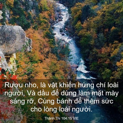 Picture 03 - Thánh Thi 104:15 VIE - Rượu nho, là vật khiến hứng chí loài - Bible Verse Picture