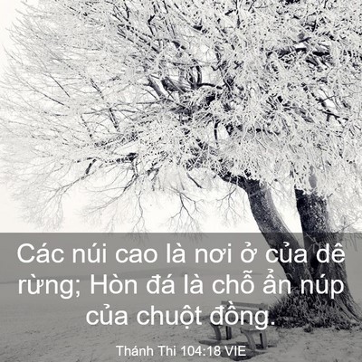 Picture 03 - Thánh Thi 104:18 VIE - Các núi cao là nơi ở của dê rừng; Hòn - Bible Verse Picture