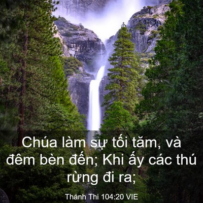 Picture 03 - Thánh Thi 104:20 VIE - Chúa làm sự tối tăm, và đêm bèn - Bible Verse Picture