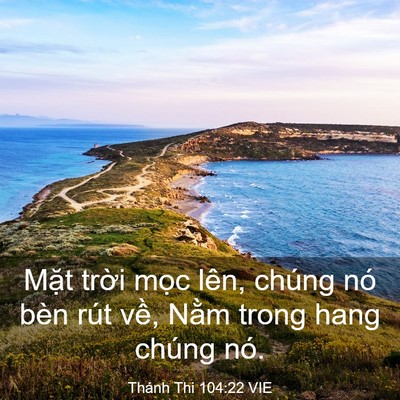 Picture 03 - Thánh Thi 104:22 VIE - Mặt trời mọc lên, chúng nó bèn rút - Bible Verse Picture