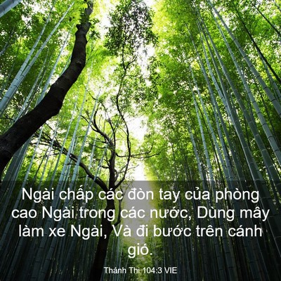 Picture 03 - Thánh Thi 104:3 VIE - Ngài chấp các đòn tay của phòng cao - Bible Verse Picture