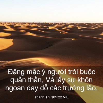 Picture 03 - Thánh Thi 105:22 VIE - Đặng mặc ý người trói buộc quần - Bible Verse Picture