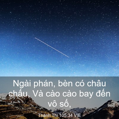 Picture 03 - Thánh Thi 105:34 VIE - Ngài phán, bèn có châu chấu, Và cào cào - Bible Verse Picture