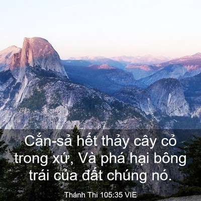 Picture 03 - Thánh Thi 105:35 VIE - Cắn-sả hết thảy cây cỏ trong xứ, Và - Bible Verse Picture
