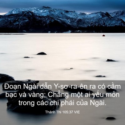 Picture 03 - Thánh Thi 105:37 VIE - Đoạn Ngài dẫn Y-sơ-ra-ên ra có cầm - Bible Verse Picture