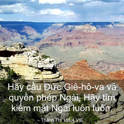 Picture 03 - Thánh Thi 105:4 VIE - Hãy cầu Đức Giê-hô-va và quyền phép - Bible Verse Picture
