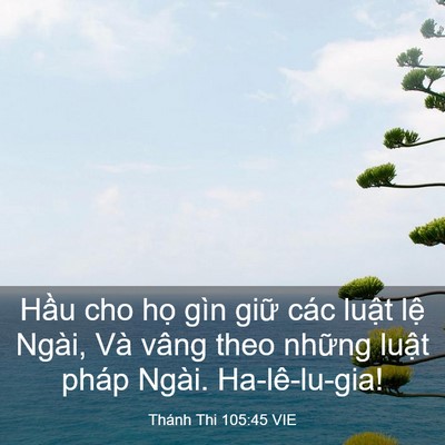 Picture 03 - Thánh Thi 105:45 VIE - Hầu cho họ gìn giữ các luật lệ Ngài, - Bible Verse Picture