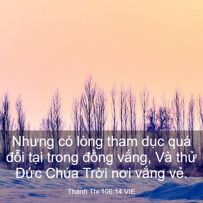 Picture 03 - Thánh Thi 106:14 VIE - Nhưng có lòng tham dục quá đỗi tại - Bible Verse Picture