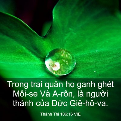 Picture 03 - Thánh Thi 106:16 VIE - Trong trại quân họ ganh ghét Môi-se Và - Bible Verse Picture