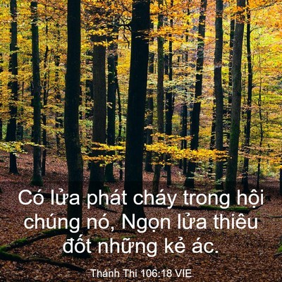 Picture 03 - Thánh Thi 106:18 VIE - Có lửa phát cháy trong hội chúng nó, - Bible Verse Picture