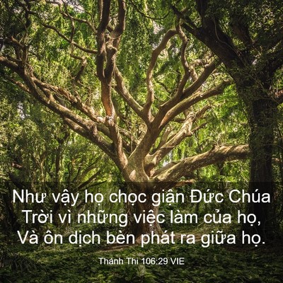Picture 03 - Thánh Thi 106:29 VIE - Như vậy họ chọc giận Đức Chúa Trời - Bible Verse Picture