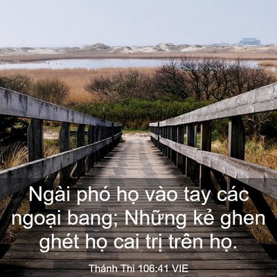 Picture 03 - Thánh Thi 106:41 VIE - Ngài phó họ vào tay các ngoại bang; - Bible Verse Picture