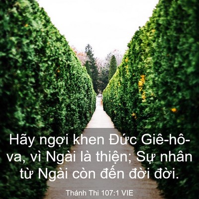 Picture 03 - Thánh Thi 107:1 VIE - Hãy ngợi khen Đức Giê-hô-va, vì Ngài - Bible Verse Picture
