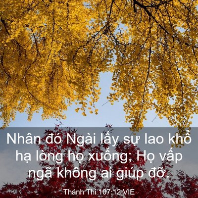 Picture 03 - Thánh Thi 107:12 VIE - Nhân đó Ngài lấy sự lao khổ hạ lòng - Bible Verse Picture