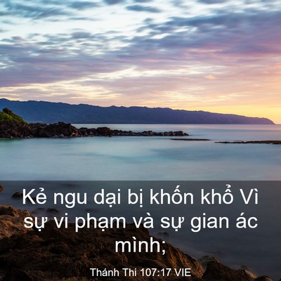 Picture 03 - Thánh Thi 107:17 VIE - Kẻ ngu dại bị khốn khổ Vì sự vi - Bible Verse Picture