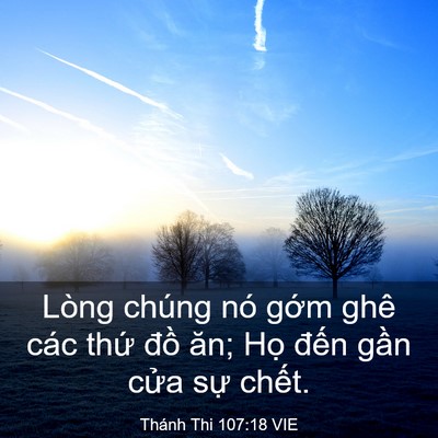 Picture 03 - Thánh Thi 107:18 VIE - Lòng chúng nó gớm ghê các thứ đồ ăn; - Bible Verse Picture