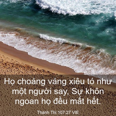 Picture 03 - Thánh Thi 107:27 VIE - Họ choáng váng xiêu tó như một người - Bible Verse Picture