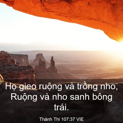Picture 03 - Thánh Thi 107:37 VIE - Họ gieo ruộng và trồng nho, Ruộng và - Bible Verse Picture