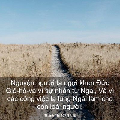 Picture 03 - Thánh Thi 107:8 VIE - Nguyện người ta ngợi khen Đức - Bible Verse Picture