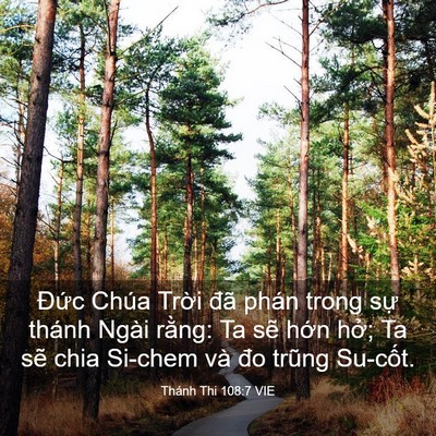 Picture 03 - Thánh Thi 108:7 VIE - Đức Chúa Trời đã phán trong sự thánh - Bible Verse Picture