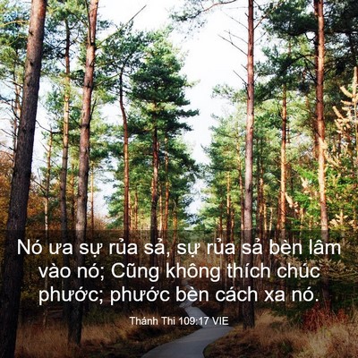 Picture 03 - Thánh Thi 109:17 VIE - Nó ưa sự rủa sả, sự rủa sả bèn - Bible Verse Picture
