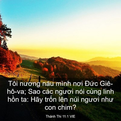 Picture 03 - Thánh Thi 11:1 VIE - Tôi nương náu mình nơi Đức Giê-hô-va; - Bible Verse Picture