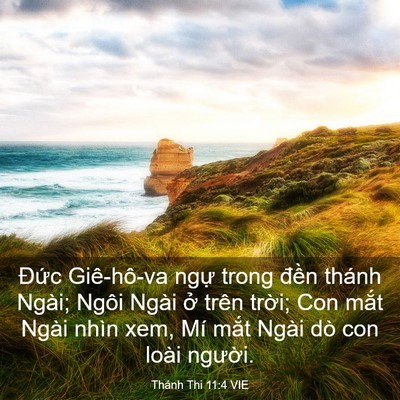 Picture 03 - Thánh Thi 11:4 VIE - Đức Giê-hô-va ngự trong đền thánh - Bible Verse Picture