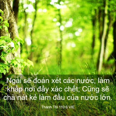 Picture 03 - Thánh Thi 110:6 VIE - Ngài sẽ đoán xét các nước, làm khắp - Bible Verse Picture