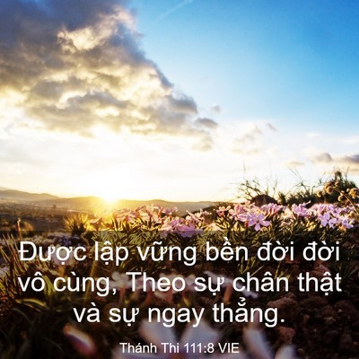 Picture 03 - Thánh Thi 111:8 VIE - Được lập vững bền đời đời vô - Bible Verse Picture