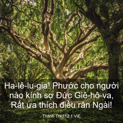 Picture 03 - Thánh Thi 112:1 VIE - Ha-lê-lu-gia! Phước cho người nào kính - Bible Verse Picture