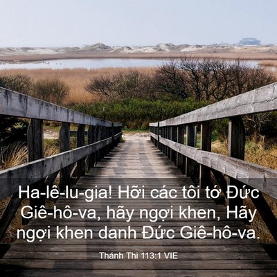 Picture 03 - Thánh Thi 113:1 VIE - Ha-lê-lu-gia! Hỡi các tôi tớ Đức - Bible Verse Picture