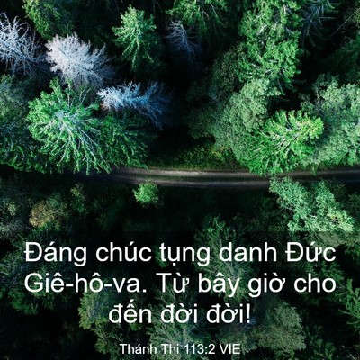 Picture 03 - Thánh Thi 113:2 VIE - Đáng chúc tụng danh Đức Giê-hô-va. Từ - Bible Verse Picture